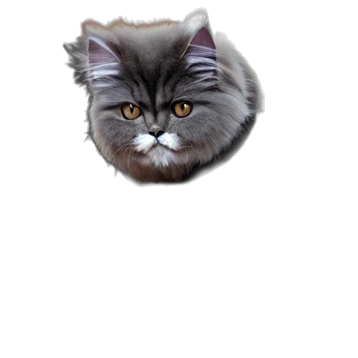 animal, creature, staff, face transparent PNG cut-out