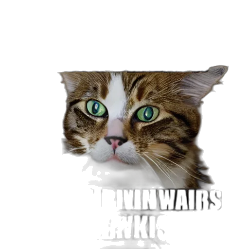 animal, creature, face, weapon, photorealistic, vaporwave, pixel art, 3d render transparent PNG cut-out