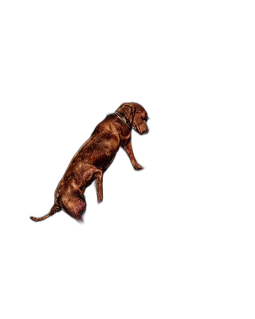 animal, staff, creature, weapon, photorealistic, 3d render, pixel art, concept art transparent PNG cut-out