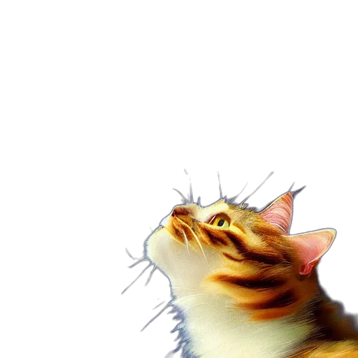 animal, creature, staff, face transparent PNG cut-out