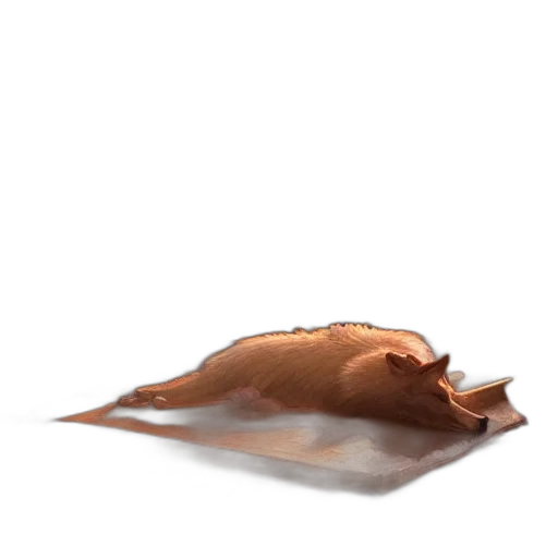 food, animal, hat, creature transparent PNG cut-out