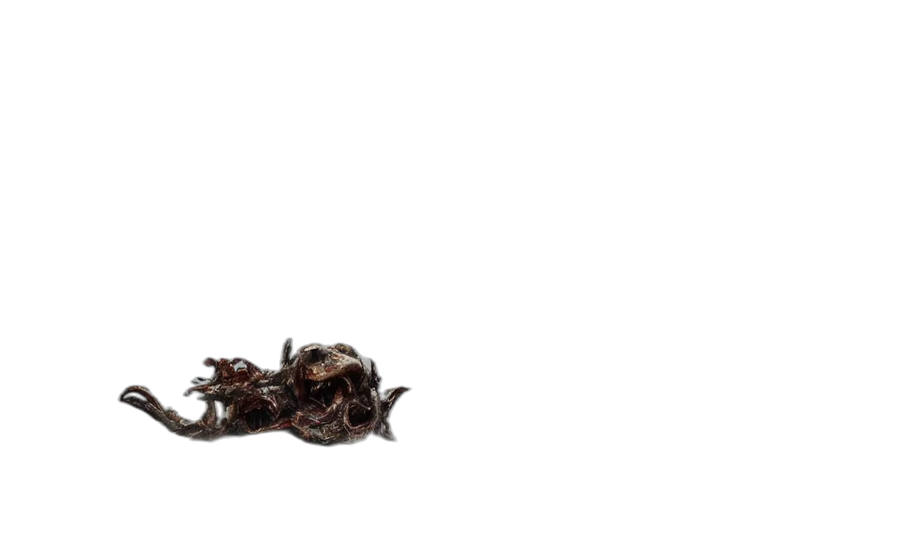 dragon, creature, hair, food transparent PNG cut-out
