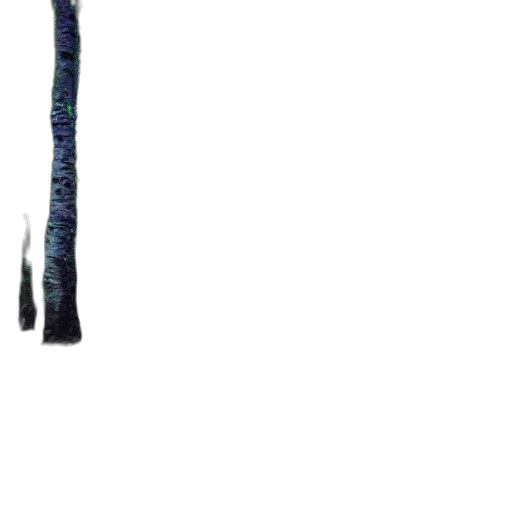 staff, sword, weapon, jacket transparent PNG cut-out