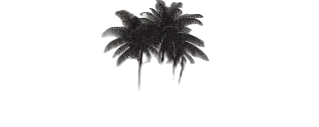 tree, hair, hat, umbrella transparent PNG cut-out
