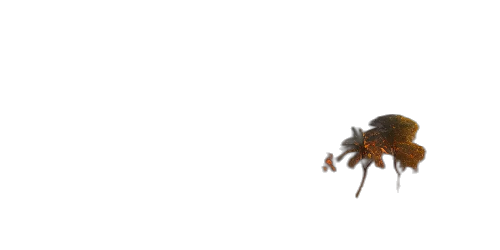 animal, creature, weapon, robot transparent PNG cut-out
