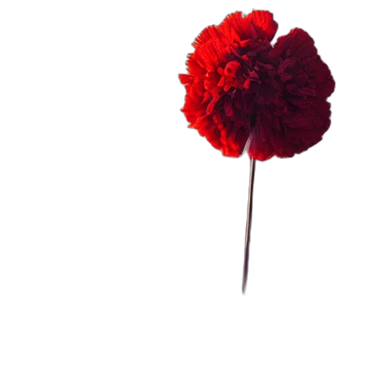 flower, umbrella, staff, crown transparent PNG cut-out