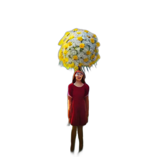 umbrella, dress, hat, crown transparent PNG cut-out