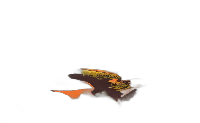 dragon, animal, creature, hat transparent PNG cut-out