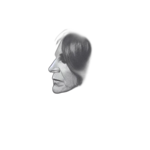 face, hair, mask, crown, photorealistic, pencil sketch, concept art, 3d render transparent PNG cut-out