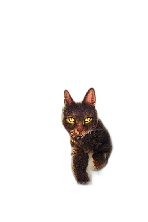 animal, creature, staff, face, photorealistic, 3d render, pixel art, oil painting transparent PNG cut-out