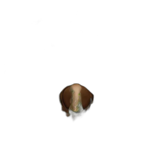 hat, animal, hair, creature, 3d render, pixel art, photorealistic, concept art transparent PNG cut-out