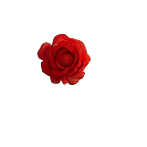 flower, crown, jewelry, staff, 3d render, photorealistic, pixel art, oil painting transparent PNG cut-out