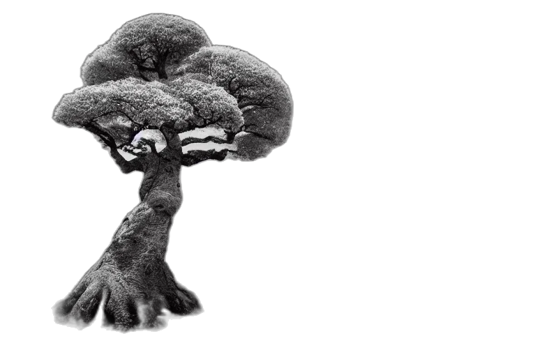 hair, tree, weapon, hat, concept art, photorealistic, pencil sketch, award transparent PNG cut-out
