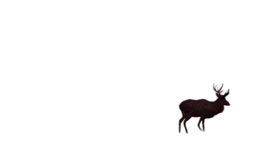 animal, creature, hair, furniture transparent PNG cut-out