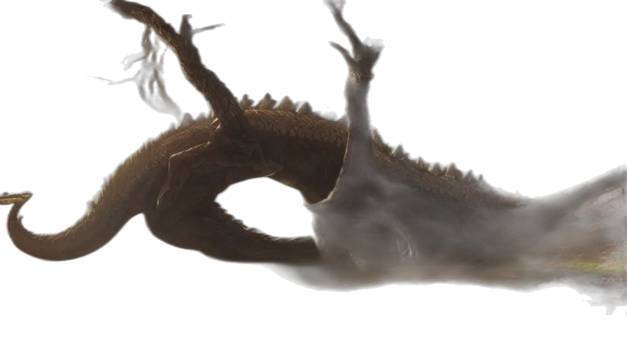 dragon, creature, hair, animal transparent PNG cut-out