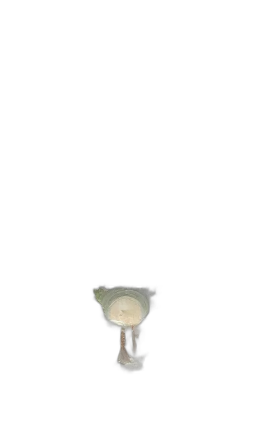 hat, umbrella, staff, jewelry transparent PNG cut-out