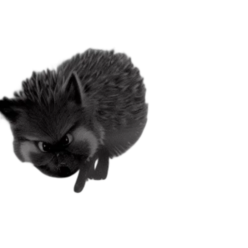 animal, creature, hair, dragon transparent PNG cut-out