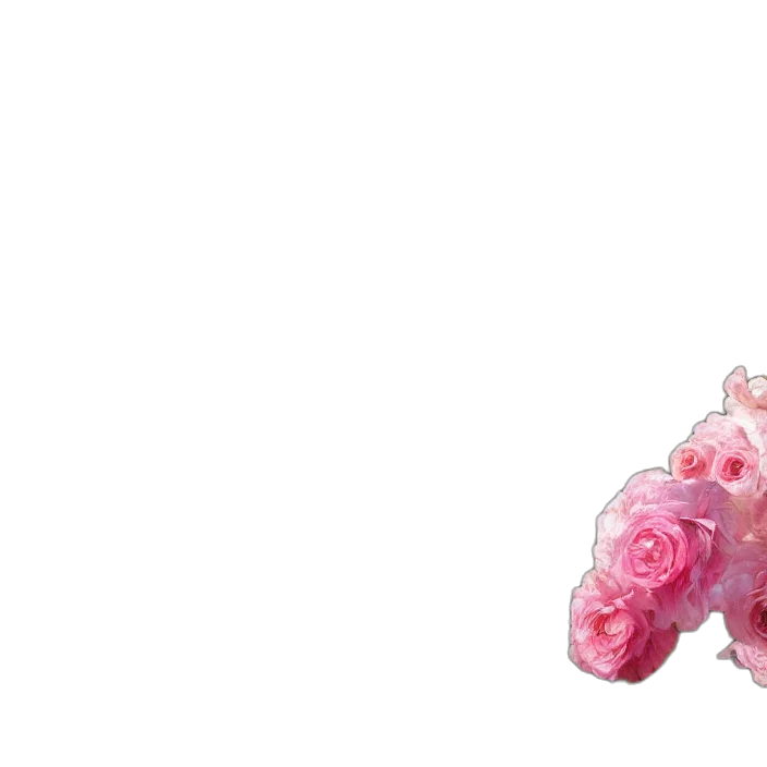 flower, animal, weapon, creature transparent PNG cut-out