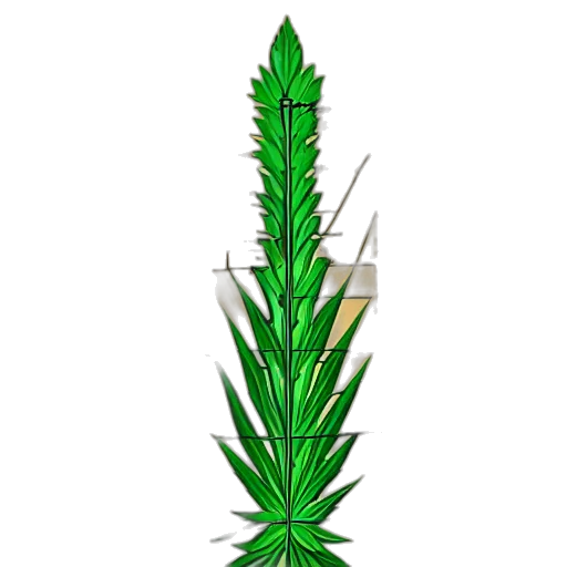 crown, weapon, jewelry, bottle transparent PNG cut-out