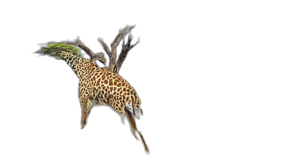 animal, dragon, creature, crown, 3d render, photorealistic, concept art, fantasy art transparent PNG cut-out