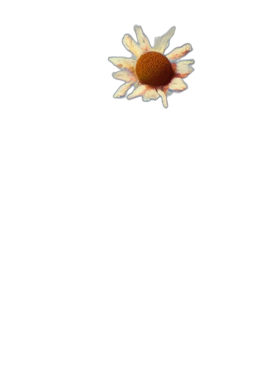 flower, crown, jewelry, staff, 3d render, photorealistic, concept art, pixel art transparent PNG cut-out