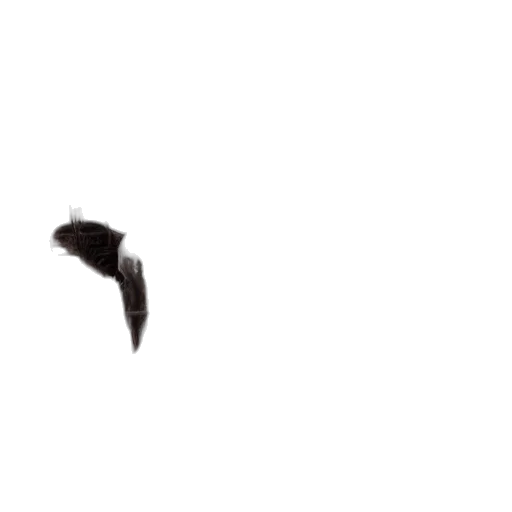 animal, dragon, shoes, umbrella, photorealistic, pixel art, concept art, 3d render transparent PNG cut-out