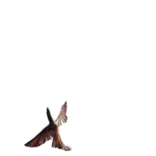 shoes, animal, dragon, creature, 3d render, concept art, pixel art, photorealistic transparent PNG cut-out
