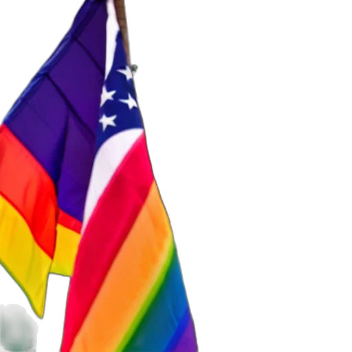 stunning, photo, donald, trump, waving, lgbtq, rainbow, pride transparent PNG cut-out