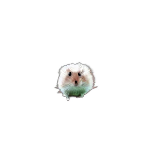 animal, creature, dragon, hat transparent PNG cut-out