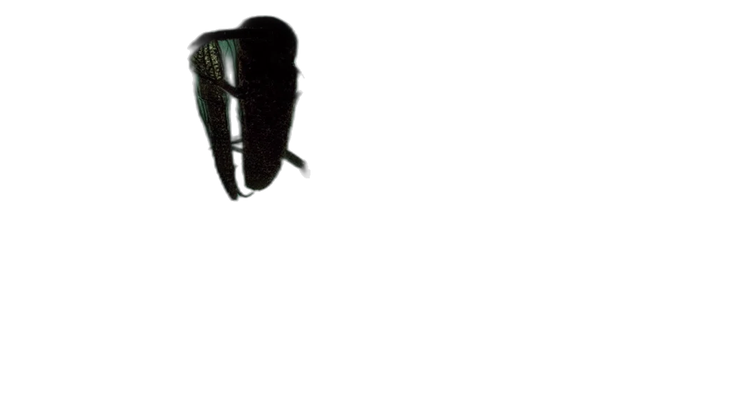 mask, shoes, umbrella, hat transparent PNG cut-out