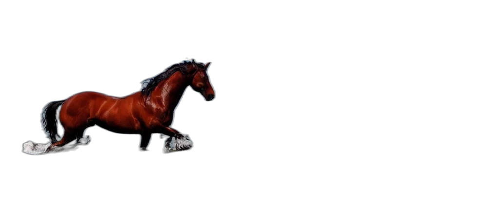 animal, creature, dragon, shoes, 3d render, photorealistic, concept art, pixel art transparent PNG cut-out