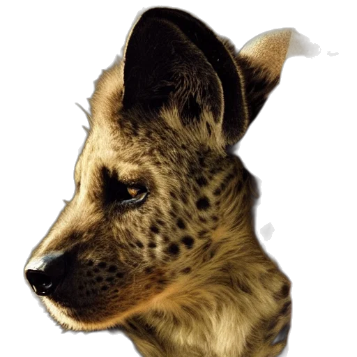 animal, staff, creature, face transparent PNG cut-out