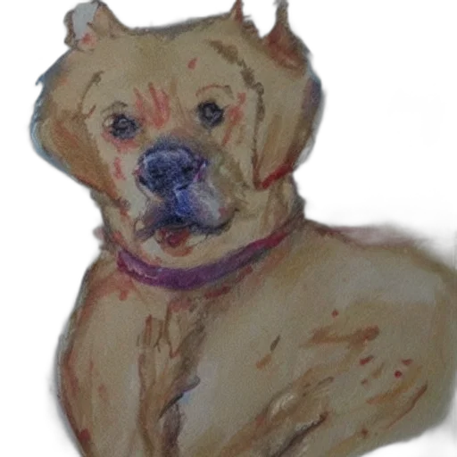 animal, face, creature, staff transparent PNG cut-out