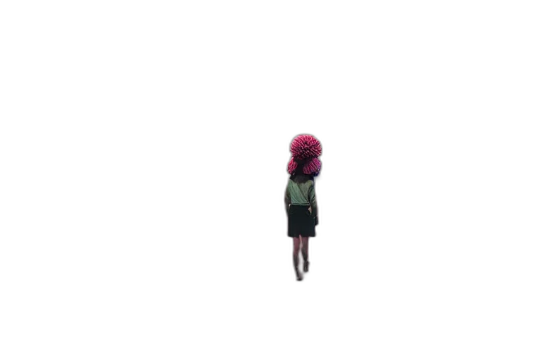 hat, dress, jacket, hair transparent PNG cut-out