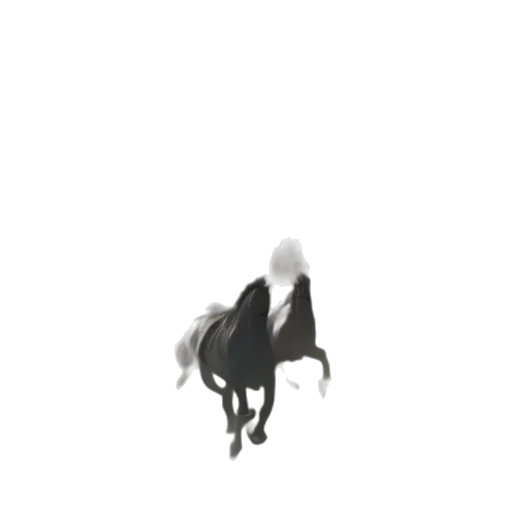 animal, creature, dragon, hat, pixel art, concept art, 3d render, fantasy art transparent PNG cut-out