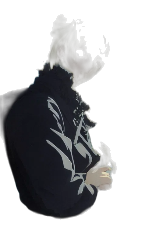 jacket, mask, crown, dress transparent PNG cut-out