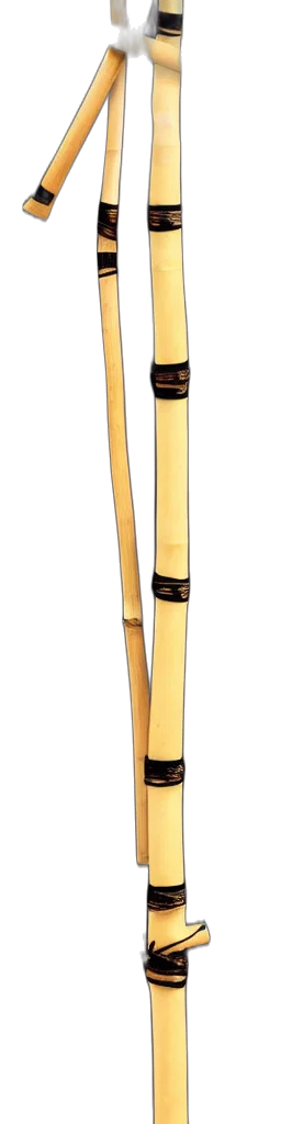 staff, sword, weapon, hair transparent PNG cut-out