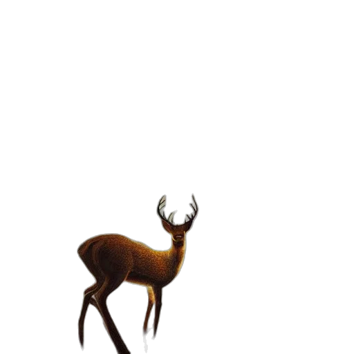 animal, crown, creature, furniture transparent PNG cut-out