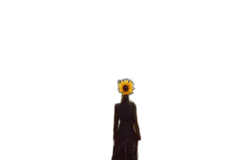 flower, mask, dress, crown, concept art, pixel art, 3d render, photorealistic transparent PNG cut-out