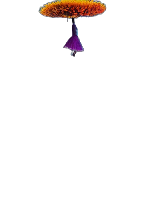 umbrella, dress, staff, hat transparent PNG cut-out