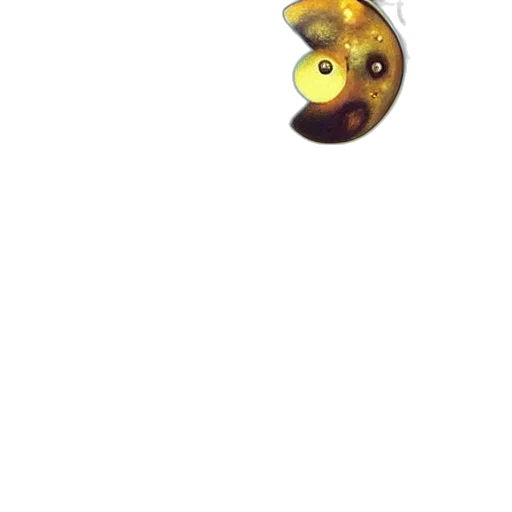 mask, staff, weapon, animal transparent PNG cut-out