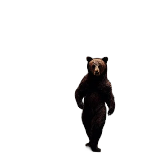 animal, creature, dress, concept art transparent PNG cut-out
