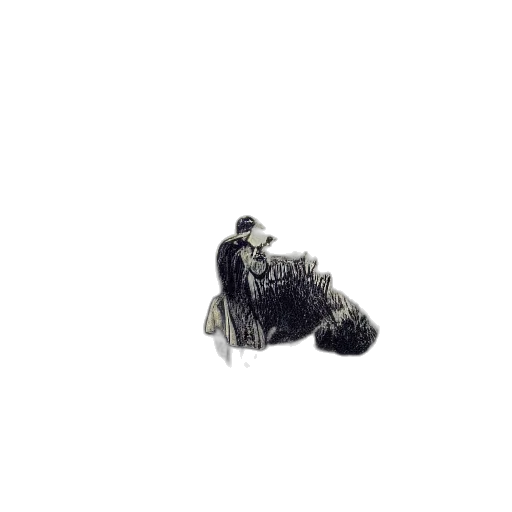 shoes, animal, hair, hat transparent PNG cut-out