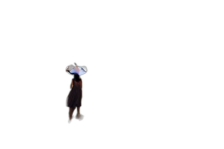 hat, umbrella, dress, animal transparent PNG cut-out