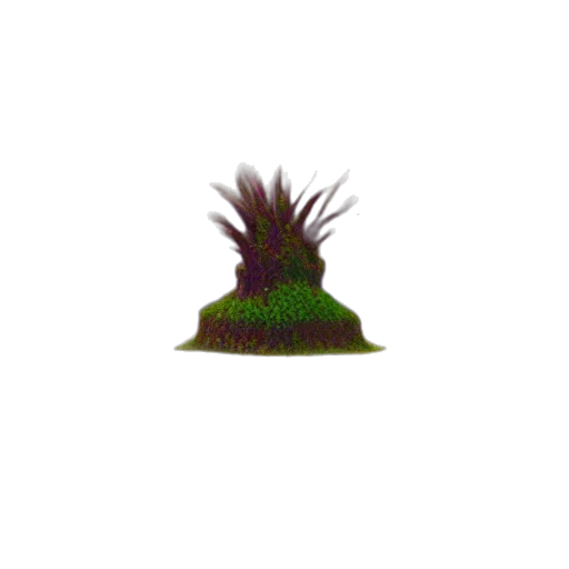 hat, crown, hair, creature transparent PNG cut-out