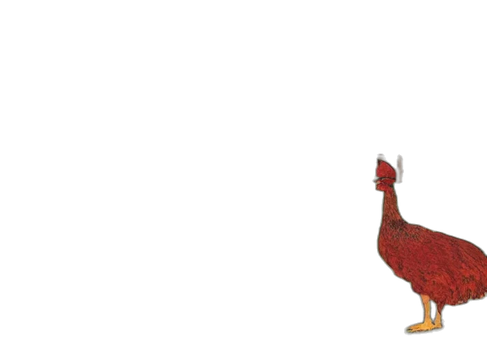 animal, food, weapon, creature transparent PNG cut-out