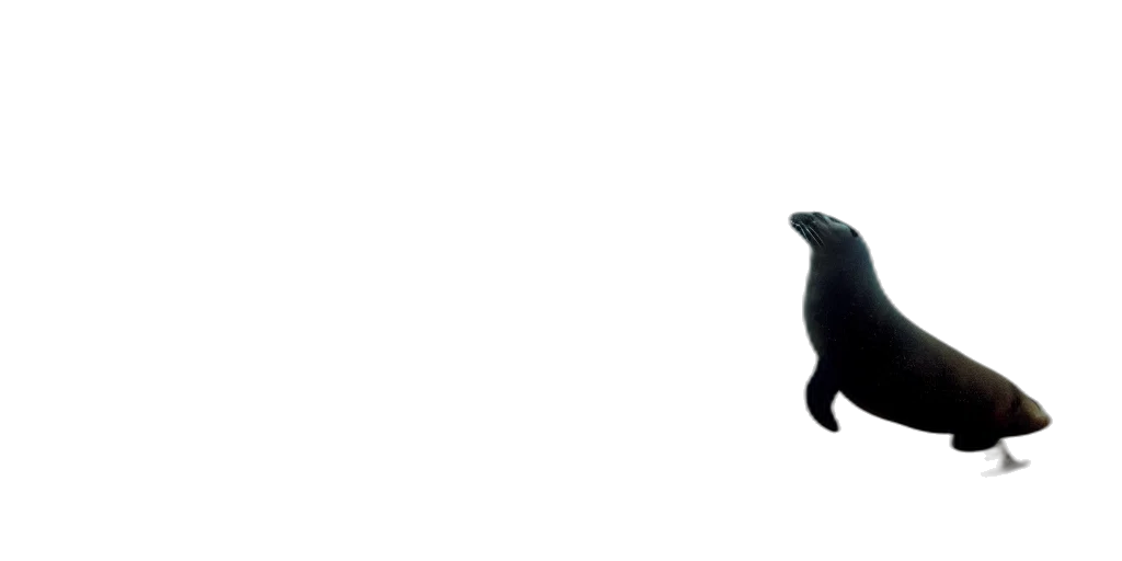 animal, creature, mask, staff transparent PNG cut-out