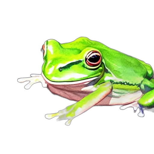 animal, creature, jewelry, staff transparent PNG cut-out