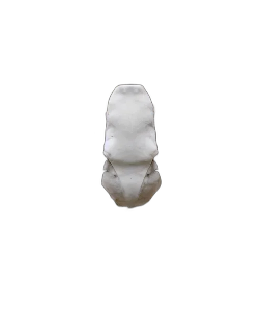 jewelry, mask, crown, bottle transparent PNG cut-out