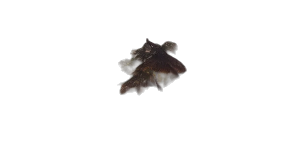 dragon, animal, creature, hair transparent PNG cut-out